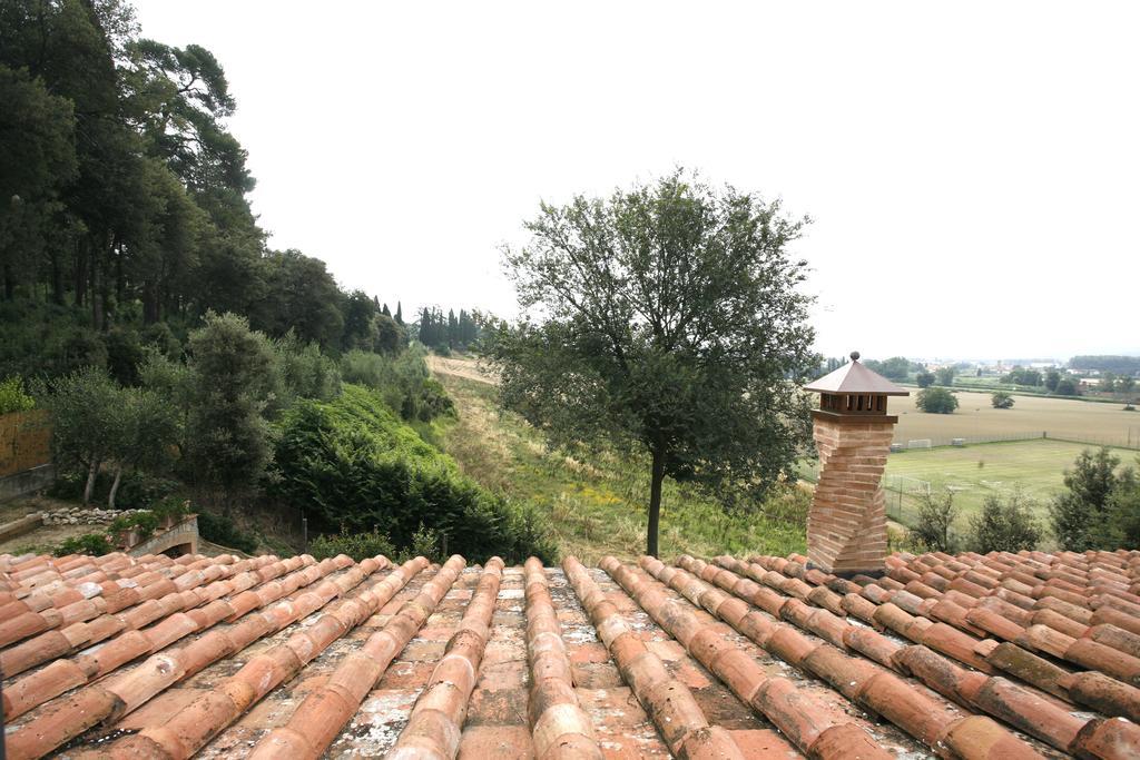 Bacco A Petroio Villa Vinci Rom bilde
